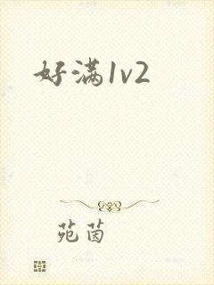好满1v2