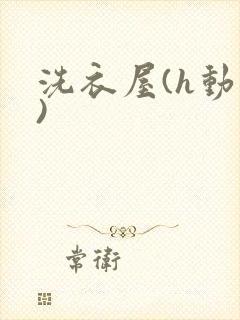 洗衣屋(h动漫)