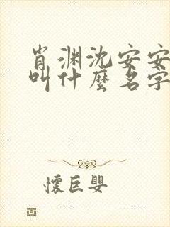 肖渊沈安安小说叫什么名字