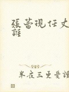 张蕾现任丈夫是谁