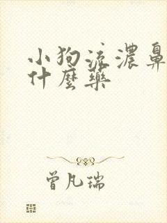 小狗流浓鼻涕用什么药