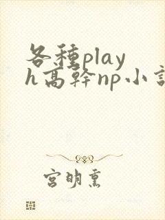 各种play h高干np小说