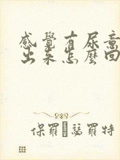 感觉有尿意尿不出来怎么回事封面