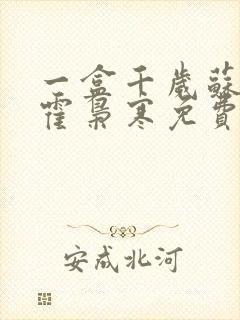 一盒千岁苏婉,霍枭寒免费阅读封面