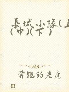 长城小队(上)(中)(下 )