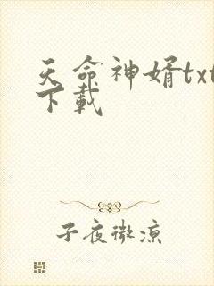 天命神婿txt下载