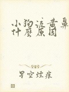 小狗流黄鼻涕是什么原因