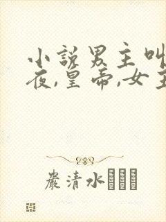 小说男主叫轩辕夜,皇帝,女主是和亲的封面