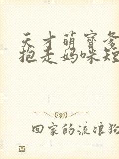 天才萌宝爹地请抱走妈咪短剧全集免费播放