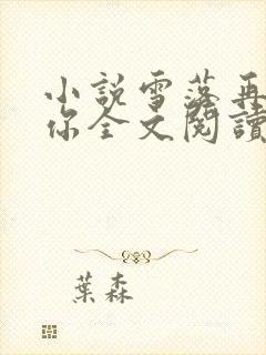 小说雪落再说爱你全文阅读