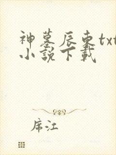 神墓辰东txt小说下载