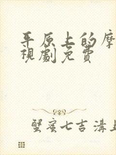 平原上的摩西电视剧免费