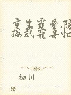 重生霸爱,隐婚总裁宠妻忙