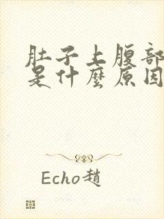 肚子上腹部疼痛是什么原因