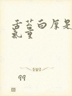 舌苔白厚是有湿气重