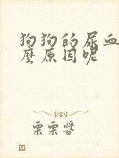 狗狗的尿血是什么原因呢