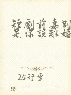 短剧前妻别哭了是你说离婚的全集封面