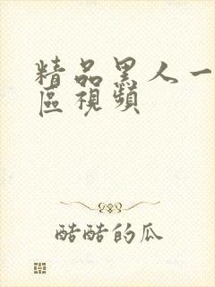 精品黑人一区二区视频