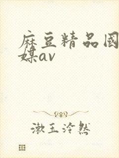 麻豆精品国产传媒av