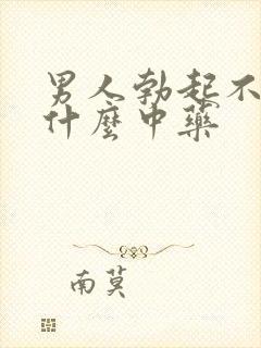 男人勃起不坚吃什么中药