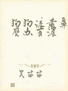 狗狗流黄鼻涕怎么办有浓