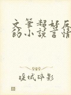 文笔超好反复看的小说言情