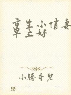 重生小俏妻首长早上好