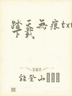 踏天无痕txt下载封面