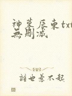 神墓辰东txt无删减
