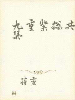 九重紫总共有几集