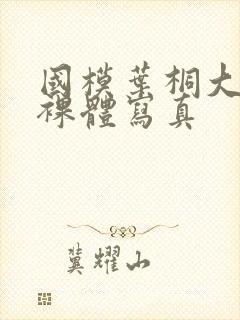 国模叶桐大尺度裸体写真