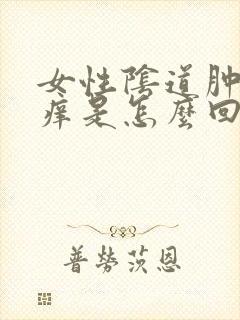 女性阴道肿痛瘙痒是怎么回事