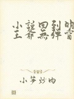 小说回到明朝当王爷无弹窗