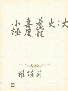 小妻惹火:大叔极度宠