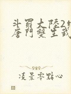 斗罗大陆2绝世唐门双生武魂