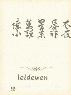 亿万星辰不及你小说叶非夜