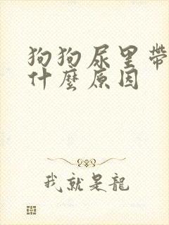 狗狗尿里带血是什么原因