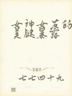 女神女友的丝袜美腿暴露