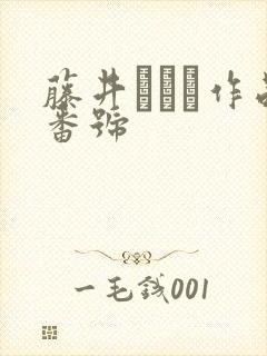 藤井リアナ作品番号封面