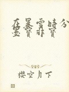 在暴雪时分小说墨宝非宝