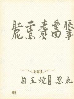 肚子老爱胀气放屁怎么回事