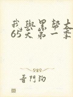 我与黑帮大佬365天第一季