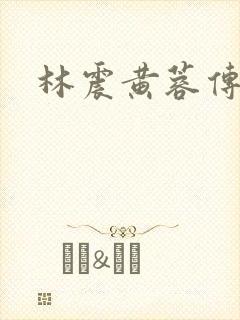 林震黄蓉传封面