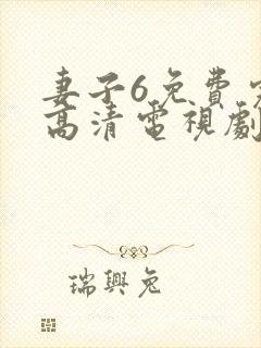 妻子6免费完整高清电视剧在线看封面