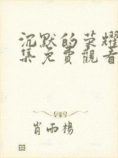 沉默的荣耀31集免费观看