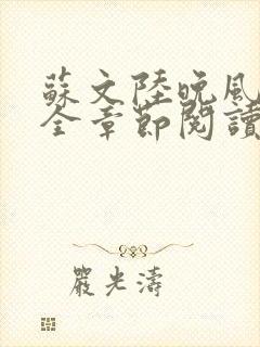 苏文陆晚风小说全章节阅读