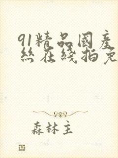 91精品国产白丝在线拍免费观看