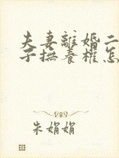 夫妻离婚二个孩子抚养权怎么判定