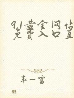 9.1黄金网站免费入口直接观看