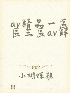 av精品一区二区三区av解说